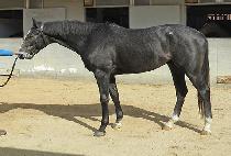 ����Ƽ�� (MIGHTY NIC) ����