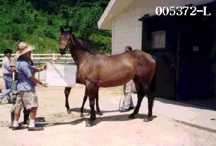 �Ĳ��̳��� ����