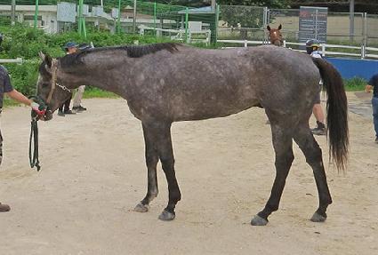 ��ĭ ����