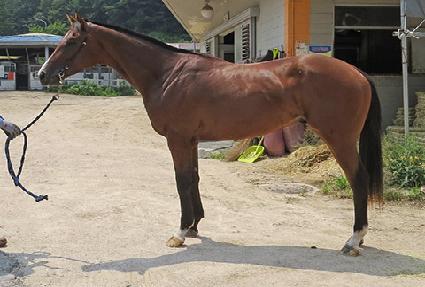 �Ƹ޸�ī��� ����