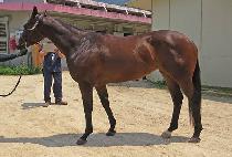 ���ѾƸ��� (MUHAN ARGO) ����