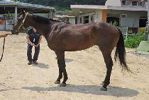 ������� (EOSEOMAREULHAE) ����