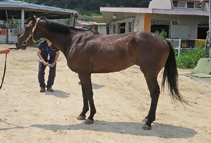 ������� ����