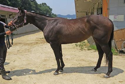 ��������� ����