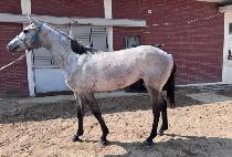 �����Ϳ����� (AFTER ALL WINNER) ����