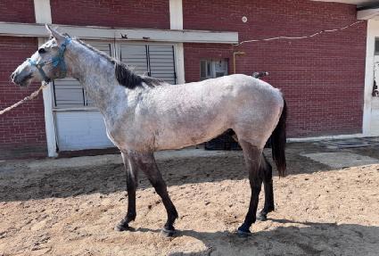 �����Ϳ����� ����