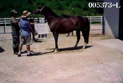 �̽��ƾ߹� ����