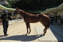 ����Ŀ�ּ� (JISAN COMING SOON) ����