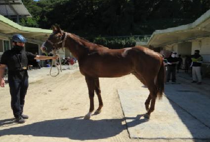 ����Ŀ�ּ� ����