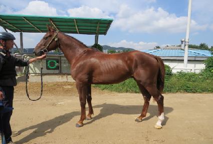 ��ƶ����� ����