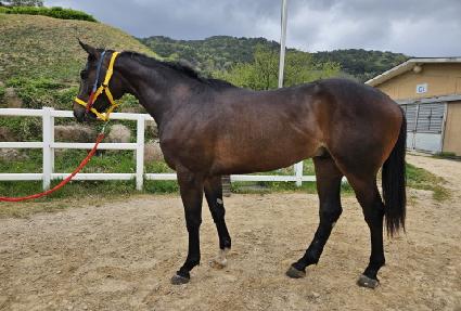 �����ǰ��� ����