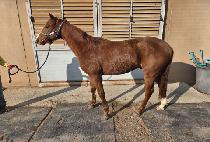 �ϴ��ְ� (HANEUL CHOEGANG) ����