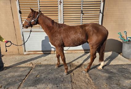 �ϴ��ְ� ����