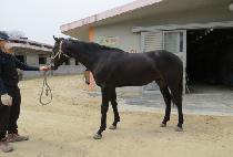 �����Ŀ� (DAEHAN POWER) ����