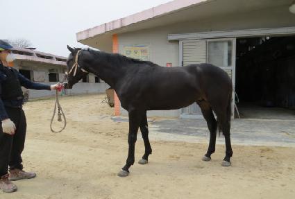 �����Ŀ� ����