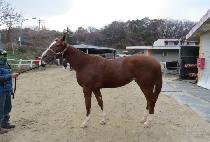 û���� (CHEONGGANG BOM) ����