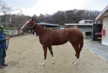 û���� ����