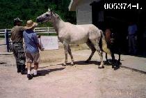 ������ (LAURA JO) ����