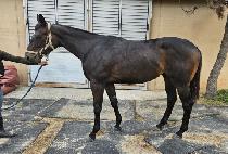 ���Ŀ�Ǯ (SO POWERFULL) ����