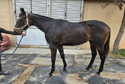 ���Ŀ�Ǯ ����