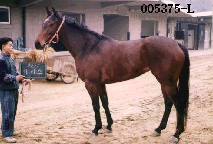 ���̽� ����