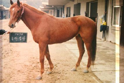 �������� ����