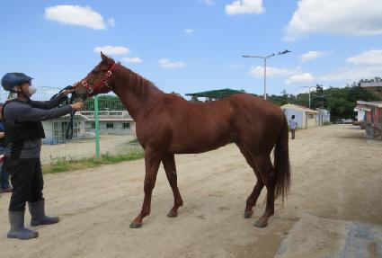 �븮�念 ����