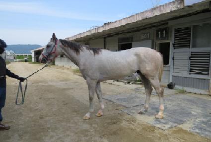 ���̹��� ����