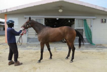 û�� ����