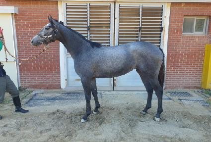 �ؿ� ����