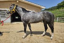 �������� (DOCTOR HUNTER) ����