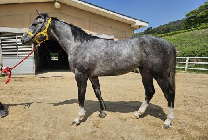 �������� ����