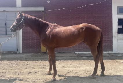 �����ͽ����� ����