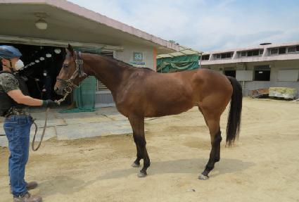 ������ ����