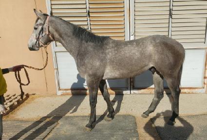 ���������� ����