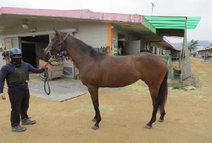 ��Ʈ���� ����