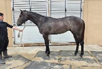 ���ī�� (YONGBI SKY) ����