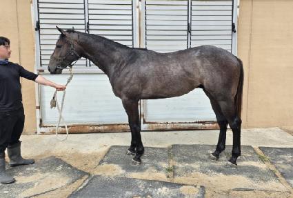 ���ī�� ����