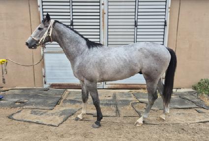 �帲���̼� ����