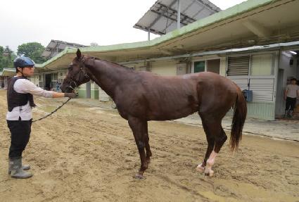 ����ī���� ����