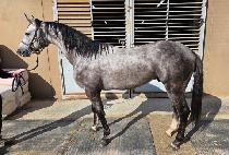 ��ο�� (HELLO GOOD) ����