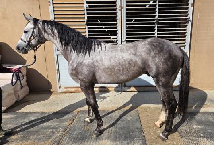 ��ο�� ����