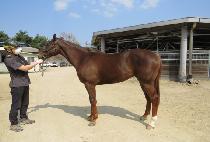 ���ѽô� (DAEHAN SIDAE) ����