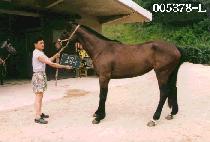 ������ (CHO HYEUNG MI) ����