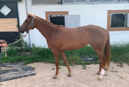 �����׸� ����