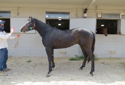 �������� ����