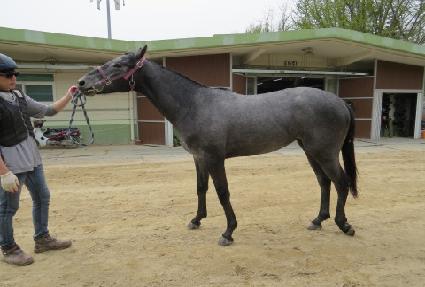 ����Ʈ���� ����