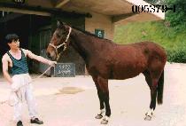 �������� (O SAEK CHAN RAN) ����