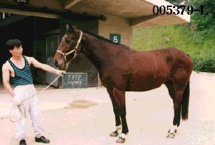 �������� ����