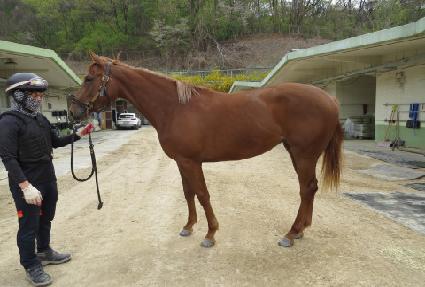 ȯ���ǳ��� ����